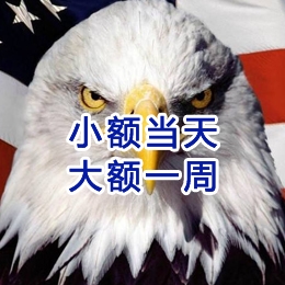 旺苍要账公司